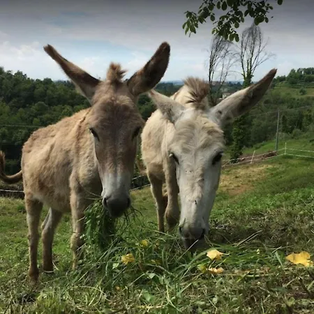 Valbarè Alloggio per agriturismo *